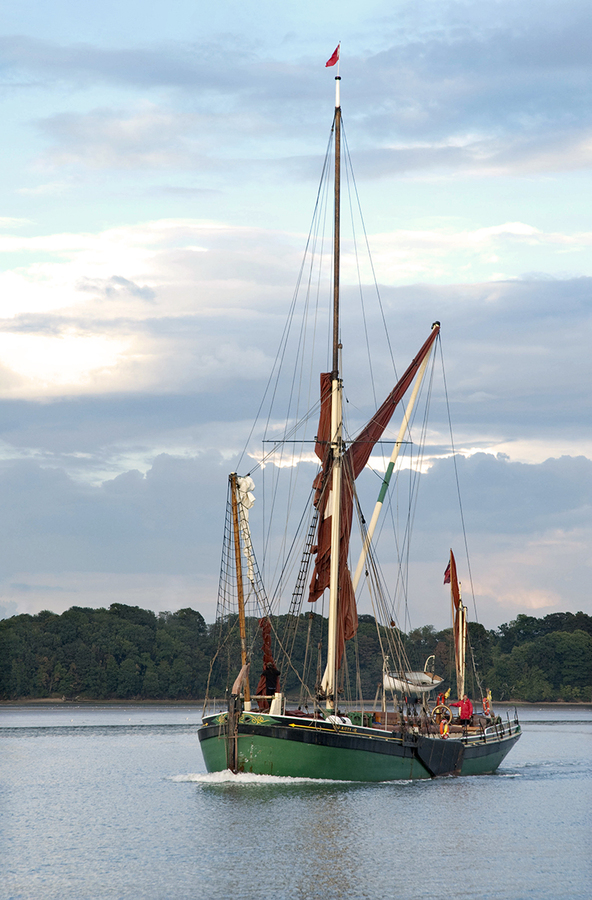 Past Times - Ann Laverock